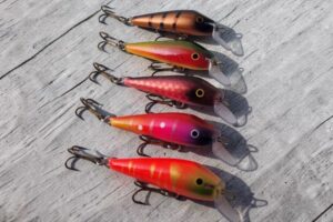 Tornionjoen ottivärit