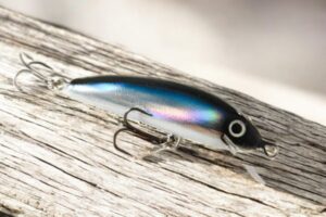 MSF1 "Foiled vendace"