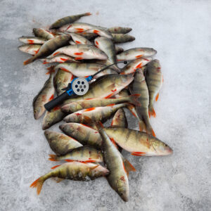 20250301_114419_edited