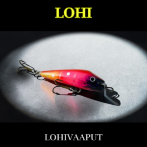 Lohivaaput