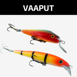 VAAPUT