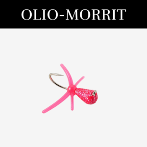 Olio- morrit